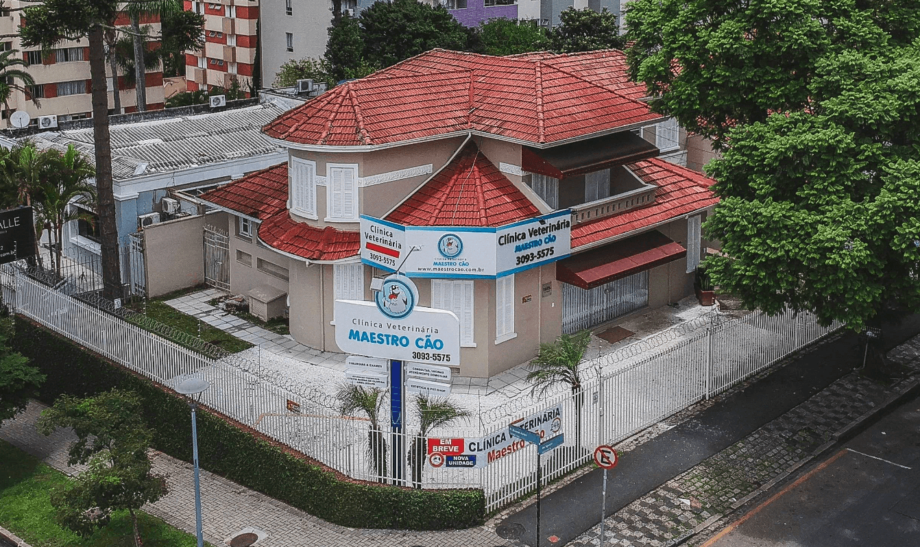 Clínica Veterinária Maestro Cão - Unidade Água Verde 24h