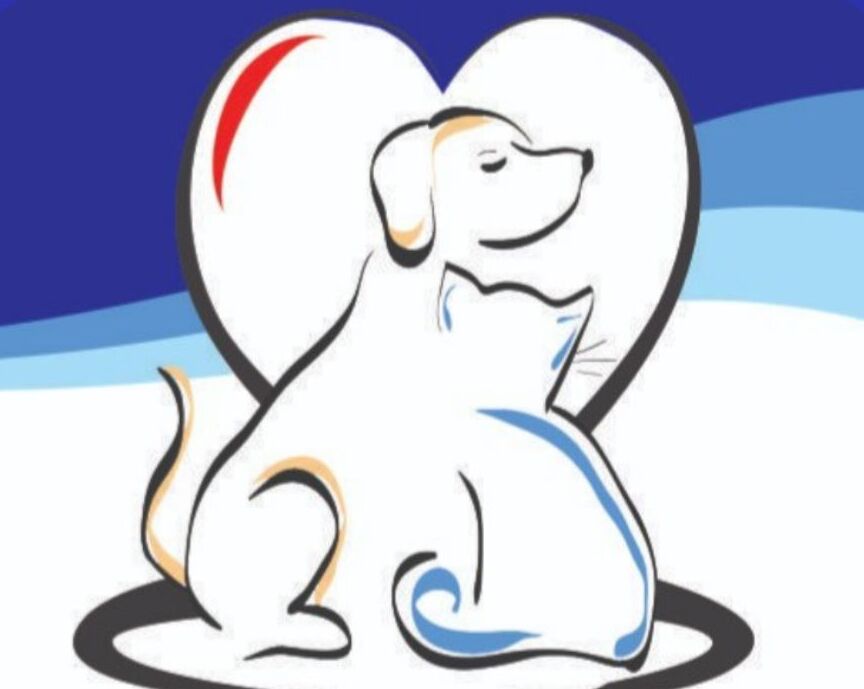 Dra. Carolina Chiconi - Atendimento Domiciliar