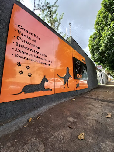 Eko Clínica Veterinária 24h